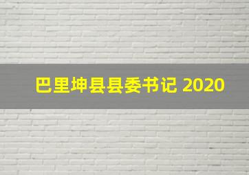 巴里坤县县委书记 2020